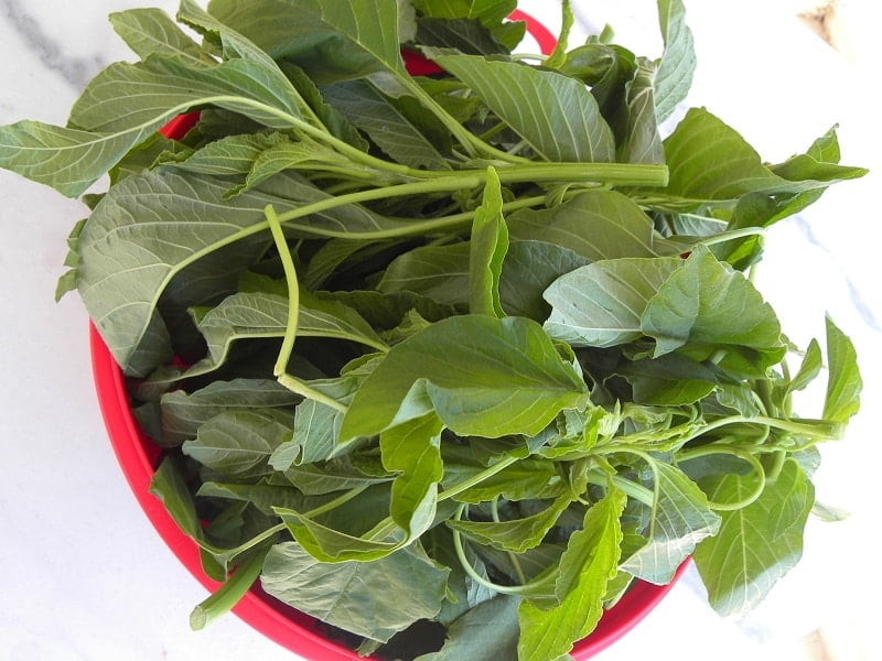 vlita greens image