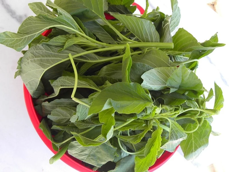 vlita greens image