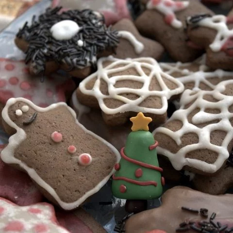 Gingerbread man with lemon icing image