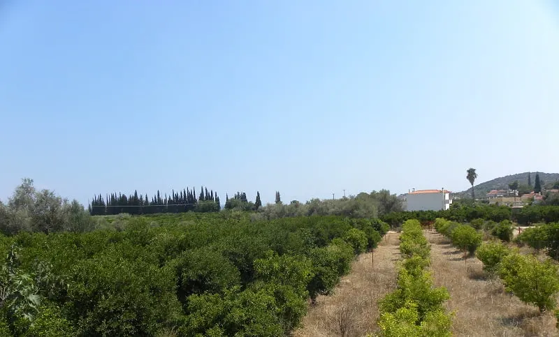 Our plot in Assini before our house was built image
