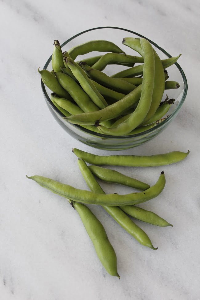Fresh fava beans koukia image