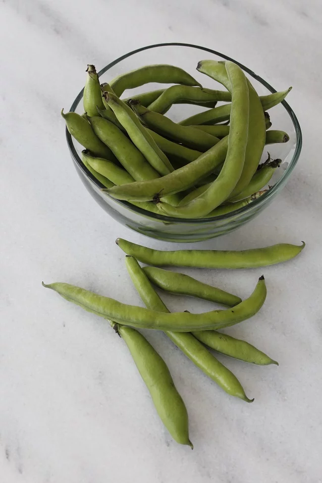 Fresh fava beans koukia image