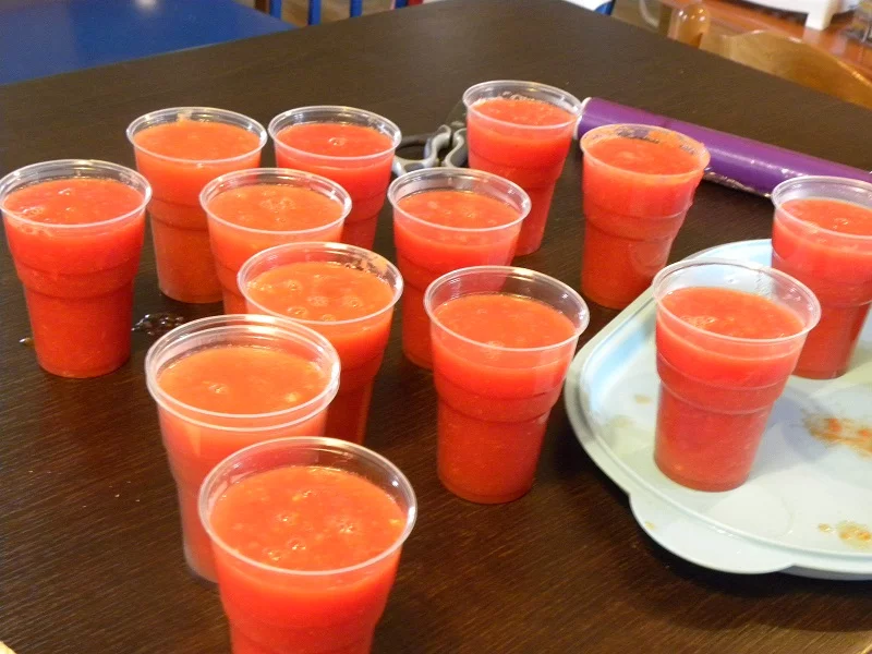 Blended tomatoes image