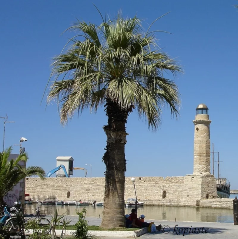 Rethymno lighthouse image