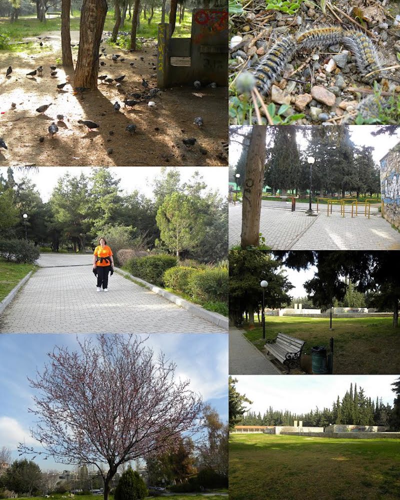 Collage Kessariani Park image