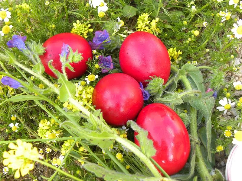 Easter eggs image