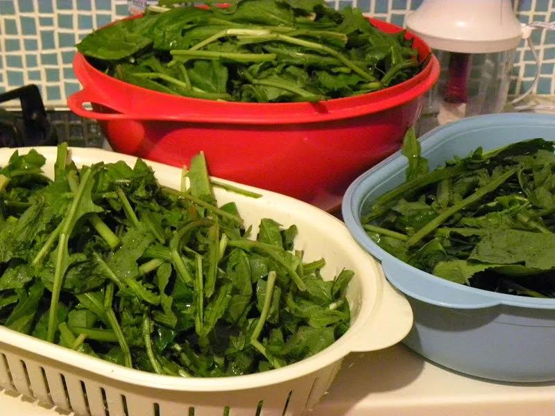 wild greens image