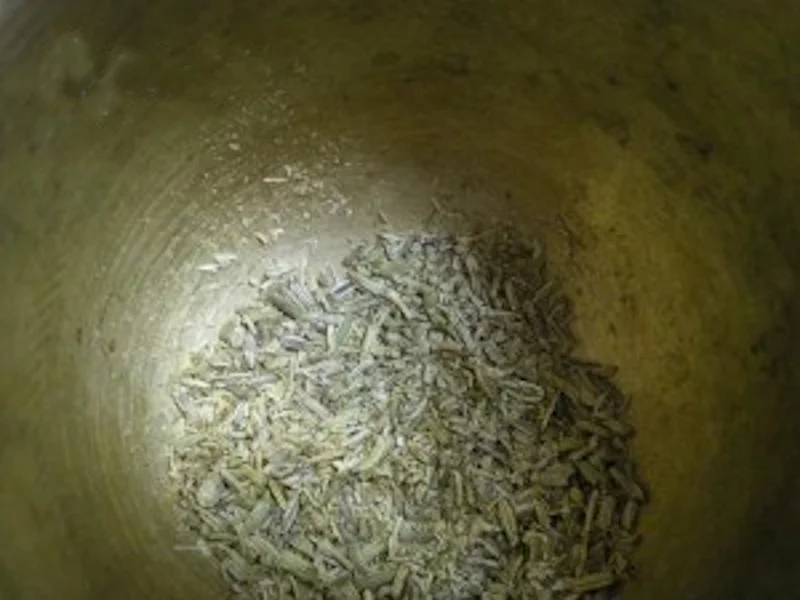 fennel seeds image