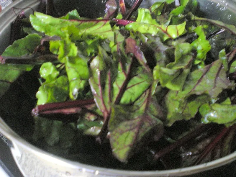 Boiling beet leaves image