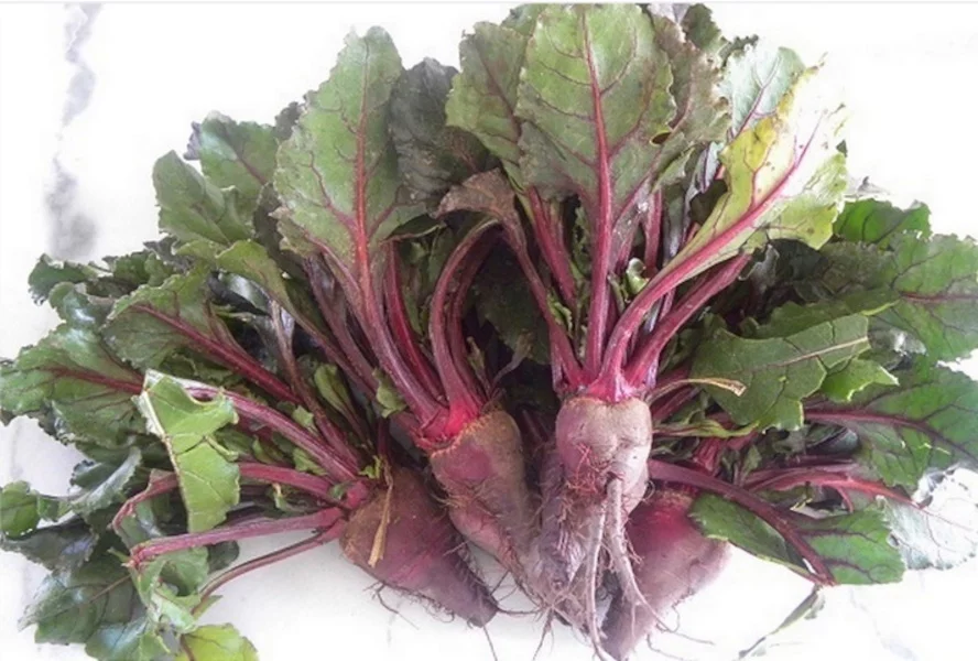 Tender baby Beets image