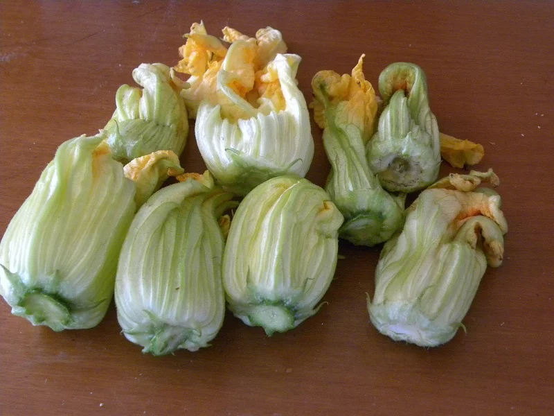 Zucchini flowers image