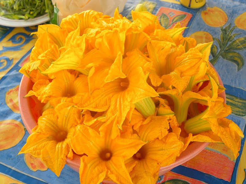zucchini flowers image