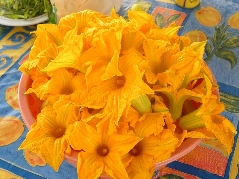 zucchini flowers image