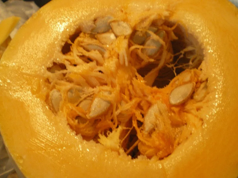 butternut squash image