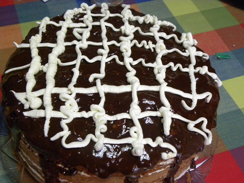 Making horizontal and vertical lines on top of ganache image