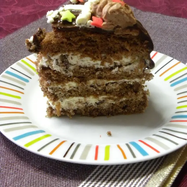 Piece of stracciatella mocha cake cut image
