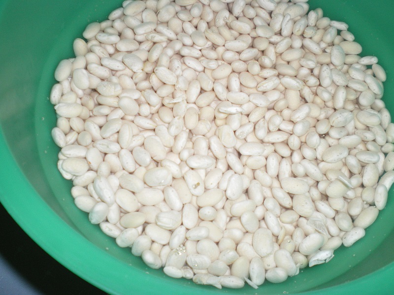 Soaking beans in water image