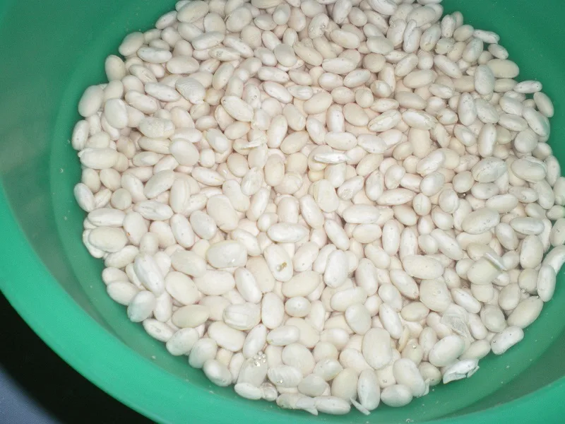 Soaking beans in water image
