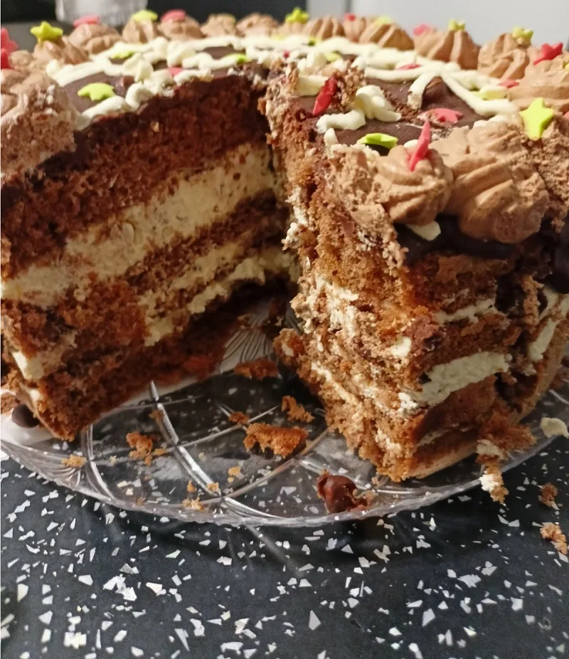Stracciatella, chocolate mocha cake cut image