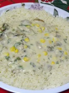 Turkey fricassee from leftovers image