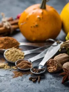 Classic pumpkin spice mixture image
