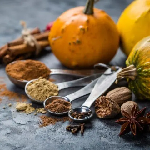 Classic pumpkin spice mixture image