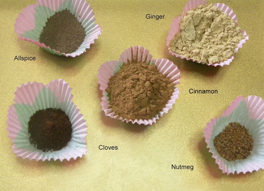 Five spices for pumpkin spice image