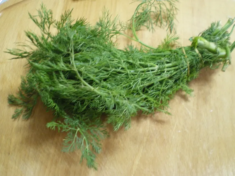 Fresh dill image