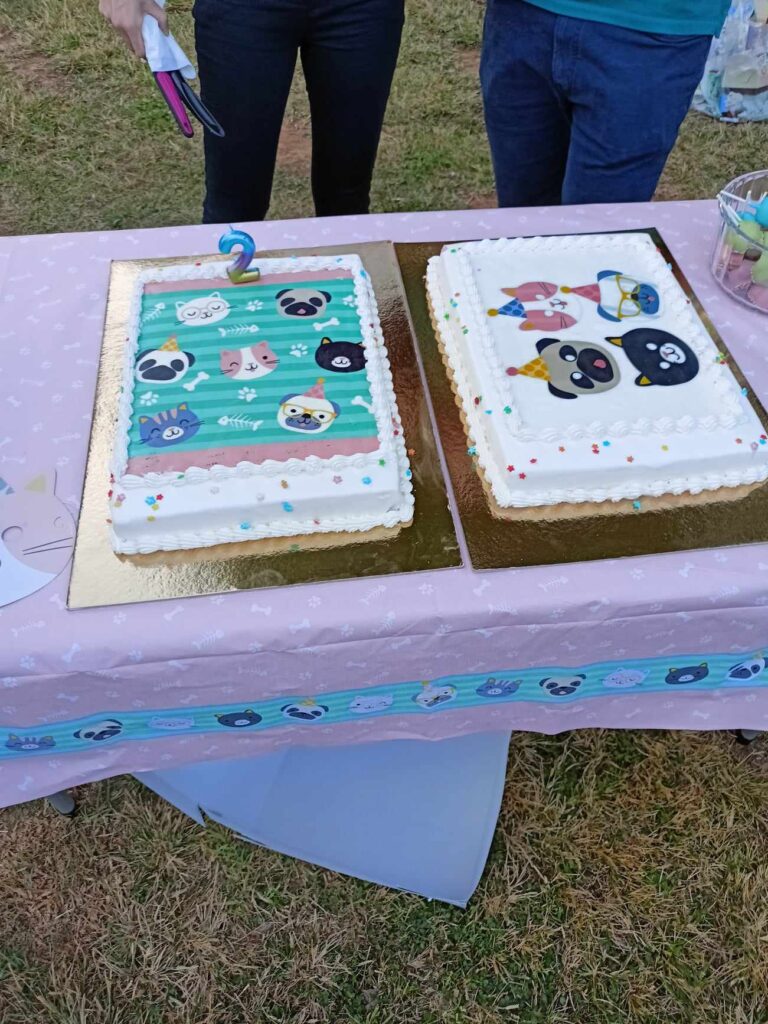 Second birthday party image