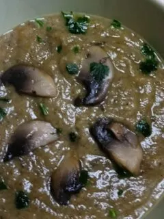 Vegan mushroom soup photo