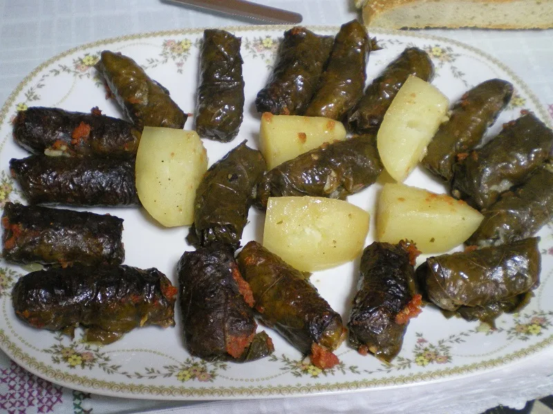 Dolmadakia gialantzi image