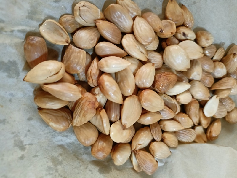 Roasted almond in the airf ryer image