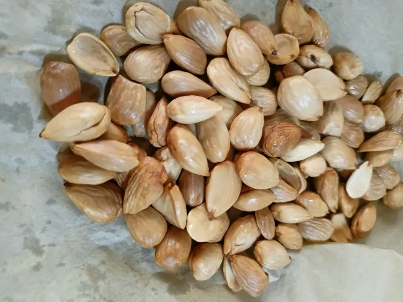 Roasted almond in the airf ryer image